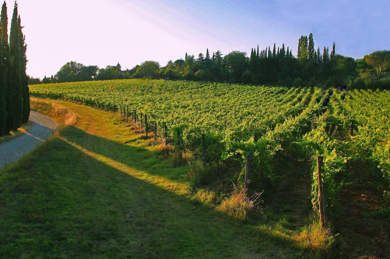 ארצו La Striscia Wine Resort מראה חיצוני תמונה